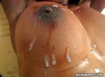 BangBros.com